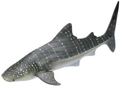 16089 TIBURON BALLENA SCHLEICH