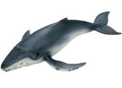 16093 BALLENA JOROBA JOVEN SCHLEICH