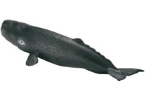16095 CACHALOTE JOVEN SCHLEICH