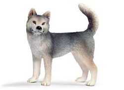 16372 HUSKY HEMBRA SCHLEICH
