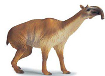 16519 MACRAUQENIA SCHLEICH