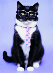 PUZZLE SCHMIDT 57311 GATO ELEGANTE