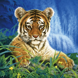 PUZZLE SCHMIDT 58503 PEQUEÑO TIGRE, JOH NAITO
