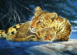 PUZZLE SCHMIDT 58504 LEOPARDOS, JOH NAITO 4001504585044