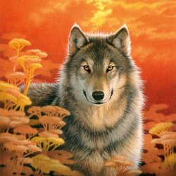 PUZZLE SCHMIDT 58506 LOBO JOH NAITO