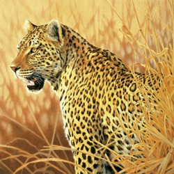 PUZZLE SCHMIDT 58507 LEOPARDO, JOH NAITO
