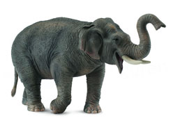88486 COLLECTA ELEFANTE ASIATICO