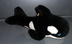 ORCA PELUCHE